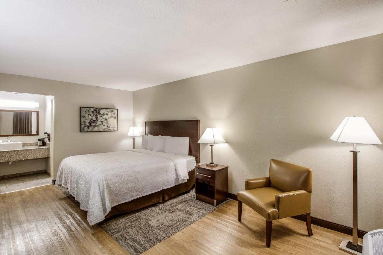 Red Roof Inn Plus+ Dallas - 애디슨 외부 사진
